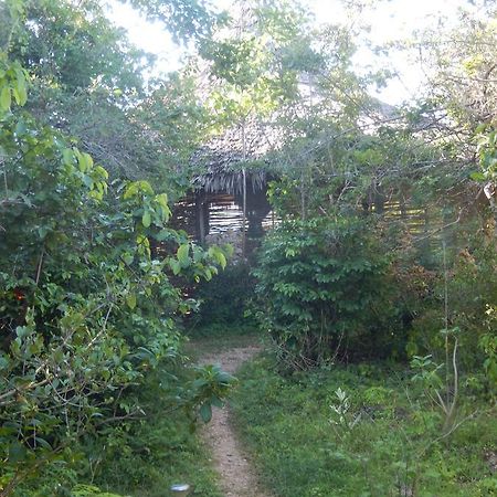 Wasini Island Bandas Bagian luar foto
