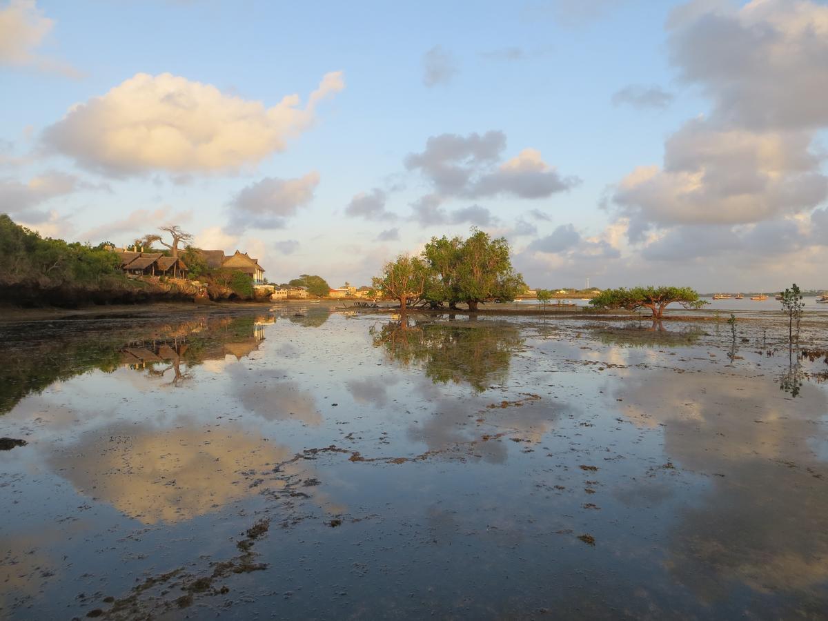 Wasini Island Bandas Bagian luar foto
