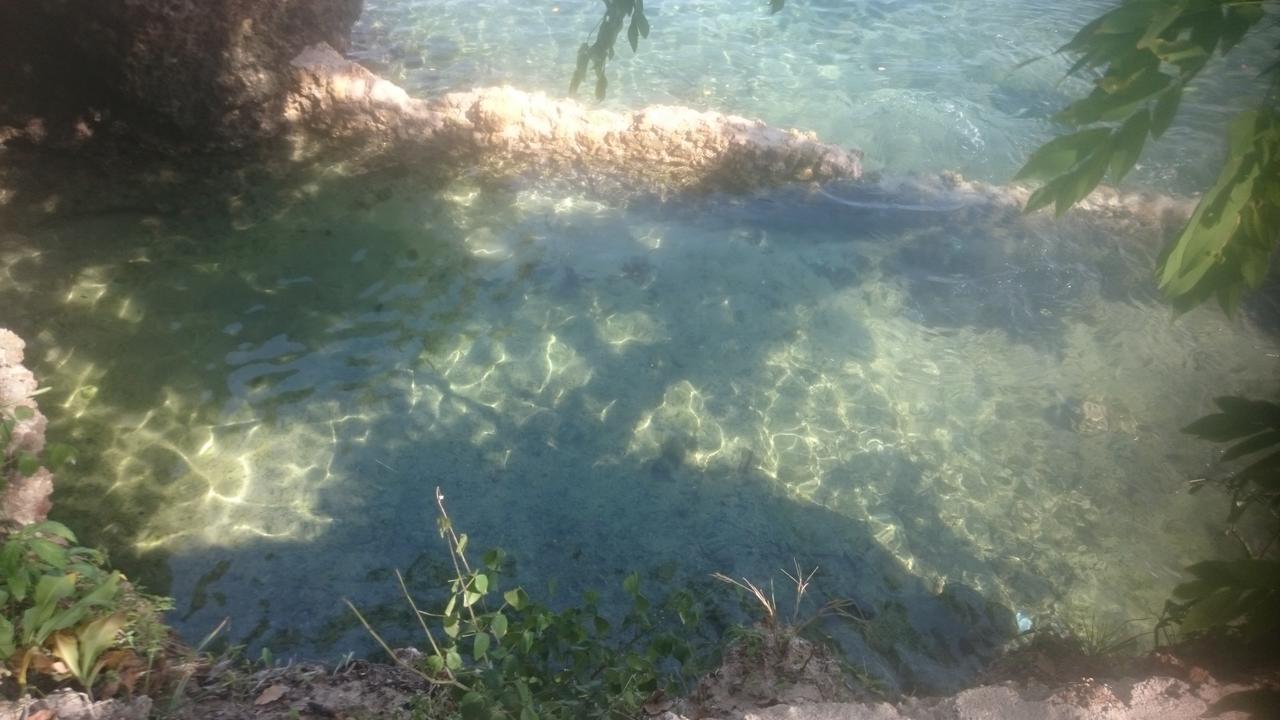 Wasini Island Bandas Bagian luar foto
